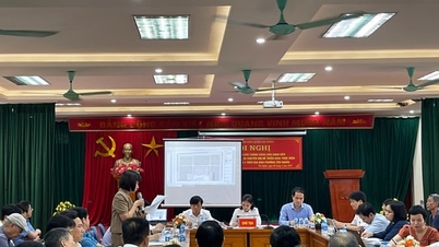 Ha Dong District: Improving the effectiveness of urban and land management