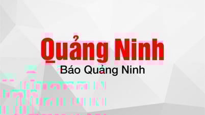 Invite to appraise the cost of printing the book "History of revolutionary journalism in Quang Ninh province"