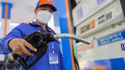 Gasoline prices are expected to continue to increase by about 300 VND per liter.