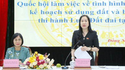 Economic and Financial Committee works in Dong Nai