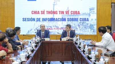 Update on Cuba situation and prospects for Vietnam - Cuba cooperation