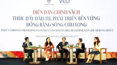 Diễn đàn chính sách “Thúc đẩy đầu tư phát triển bền vững đồng bằng sông Cửu Long”