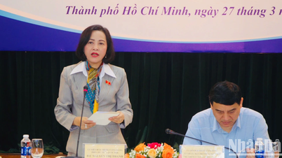Expert consultation on Draft Law on Teachers