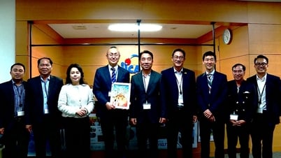 Leaders of Vinh Long province visited and worked with the Japan International Cooperation Agency