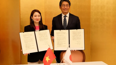 Nhật Bản hỗ trợ cải thiện môi trường học tập cho học sinh tại 26 trường học ở Việt Nam