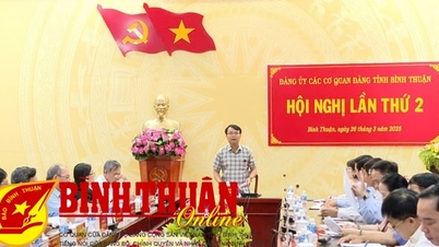 សន្និសីទលើកទី២ គណៈកម្មាធិការប្រតិបត្តិបក្ស នៃស្ថាប័នបក្សខេត្ត Binh Thuan អាណត្តិ ២០២០-២០២៥