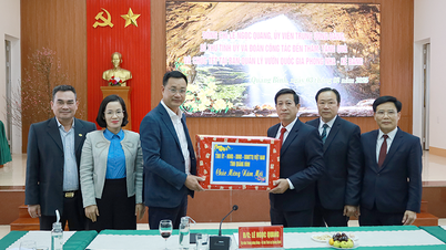 Quyết tâm đưa Vườn Quốc gia Phong Nha-Kẻ Bàng vươn tầm trong kỷ nguyên mới