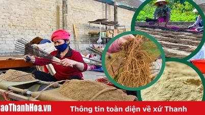 From the forest land of Nhu Xuan to traditional spiritual products