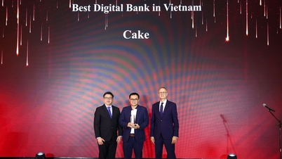 The Asian Banker awards 'Best Digital Bank in Vietnam' to Cake by VPbank