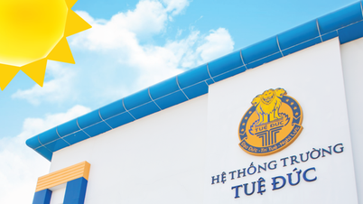 Trường Tuệ Đức báo cáo về việc nhiều học sinh nghi ngộ độc sau bữa ăn ở trường