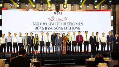 Cần tăng cường kết nối, đầu tư đồng bộ, toàn diện, hướng đến ĐBSCL phát triển bền vững