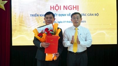 តែងតាំងលោក Tran Phu Thanh ឱ្យកាន់តំណែងជានាយករងការិយាល័យប្រៃសណីយ៍ខេត្ត Quang Nam