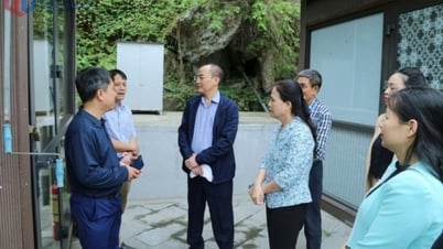 Provincial National Assembly delegation supervises at Ha Long Bay Management Board