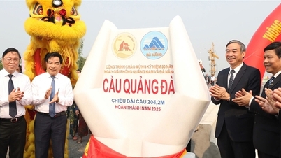 Quang Da bridge opens to traffic connecting Da Nang - Quang Nam