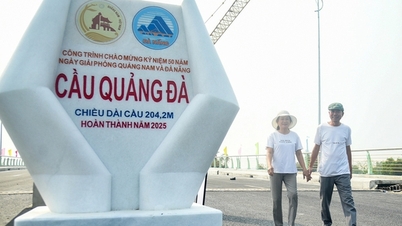 Diện mạo cây cầu hơn 270 tỷ đồng nối Đà Nẵng với Quảng Nam vừa được thông xe