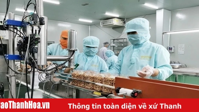 Streamlining the apparatus and the leading role of state-owned enterprises