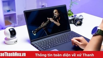 Compare Dell Inspiron vs HP Pavilion which model is stronger?