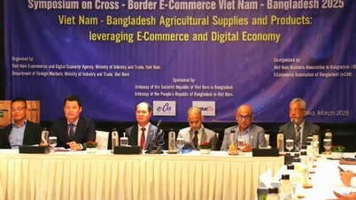 Vietnam-Bangladesh Cross-Border E-Commerce Promotion Forum