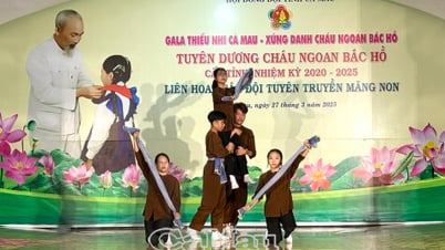 Ca Mau Children's Gala Night