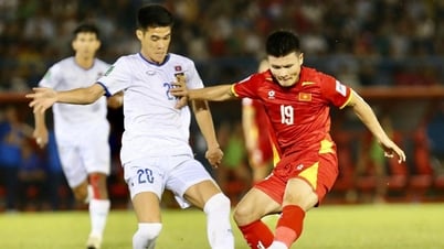 El equipo de Vietnam 'competirá' con Malasia en el subíndice, previniendo eventos imprevistos en la Copa Asiática