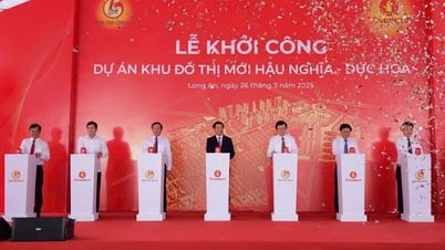 Vingroup starts construction of first urban area in Long An