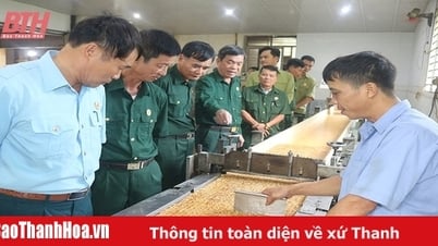 Soldiers who "defeated the enemy in the past, now defeat poverty"