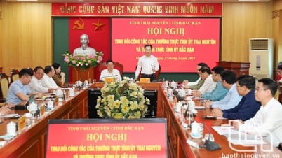 Standing Committee of Thai Nguyen and Bac Kan Provincial Party Committees: Sharing experiences in implementing Resolution No. 18 and socio-economic development
