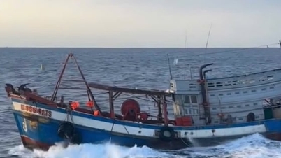 Prosecution of the case of illegal emigration by fishing boat