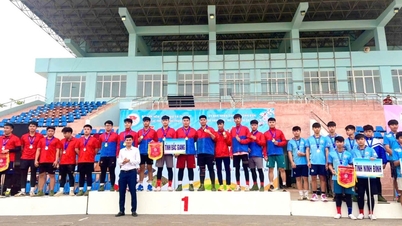 Bac Giang won 4 Gold Medals at the 8th National Tug of War Championship in 2025 - News details