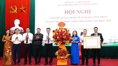 Thanh Oai: awarding certificates of recognition to 4 advanced and model new rural communes
