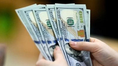 Tỷ giá USD hôm nay 05/06/2025: Đồng USD trượt giá