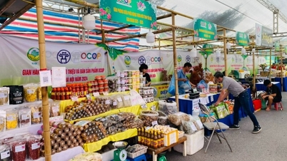 Gỡ vướng cho OCOP để nâng tầm đặc sản bản địa