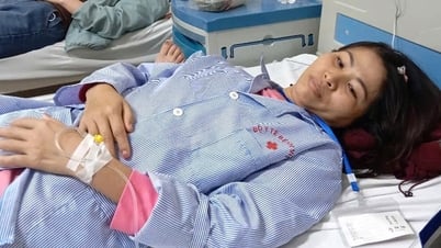 Hiệu trưởng chậm khôi phục quyền lợi cho nhân viên bị kỷ luật sai quy định