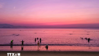 Nature experience tourism attracts many tourists to Ninh Thuan