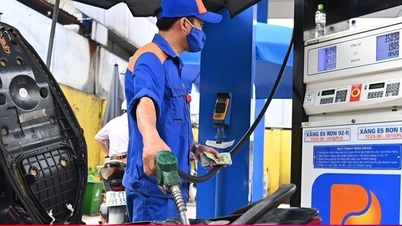 Gasoline prices increase, some types increase by more than 400 VND/liter