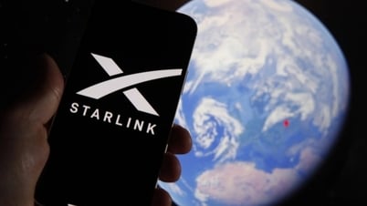 SpaceX raises environmental concerns after destroying nearly 500 satellites in 6 months