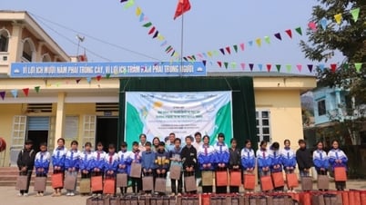 Many activities of ChildFund Vietnam in Cao Bang, Bac Kan