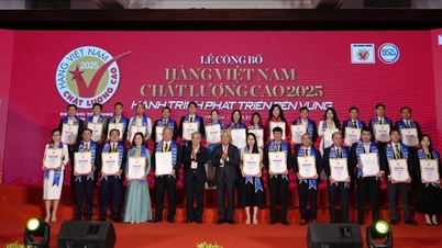 HUD Kien Giang has 3 brands achieving High Quality Vietnamese Goods 2025