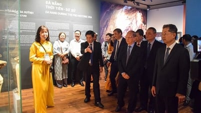 ダナン博物館、来館者対応にスマートロボットを導入