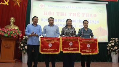 286 giải thưởng tại Hội thi thể thao tỉnh, năm học 2024