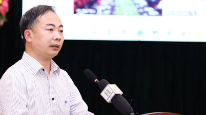 Ministry of Education and Training announced many new points in the 2025 high school graduation exam