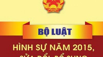 Kế hoạch xây dựng dự án Bộ luật Hình sự (sửa đổi)