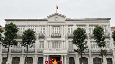 Inauguration of Da Nang Museum and construction of Uncle Ho statue at General Science Library