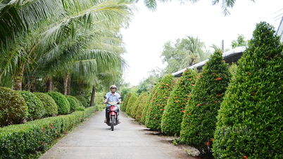 ស្រុក An Minh ត្រូវបានទទួលស្គាល់ថា បំពេញតាមស្តង់ដារជនបទថ្មី។