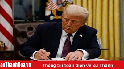 President Trump signs executive order against law firm involved in his investigation