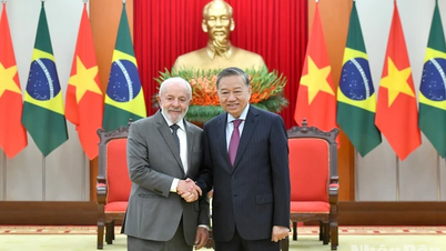[Ảnh] Tổng Bí thư Tô Lâm tiếp Tổng thống Brazil Luiz Inácio Lula da Silva