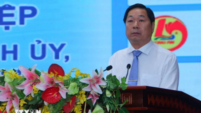 Kết nối du lịch Thành phố Hồ Chí Minh và khu vực Đồng bằng sông Cửu Long
