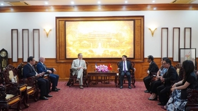 French Ambassador to Vietnam: continue to foster and support the development cooperation between the two countries