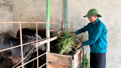 Tạo động lực cho cựu chiến binh phát triển kinh tế