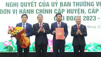 Quảng Nam khẩn trương lấy ý kiến đối với dự thảo Luật Tổ chức chính quyền địa phương (sửa đổi)
